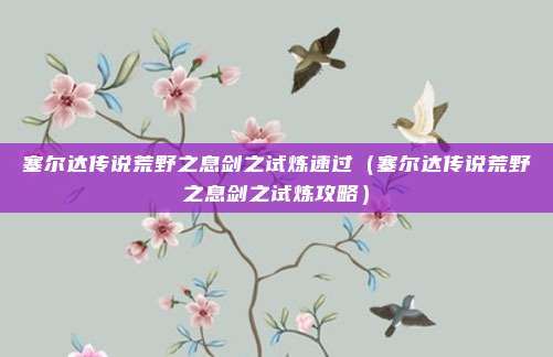 塞尔达传说荒野之息剑之试炼速过（塞尔达传说荒野之息剑之试炼攻略）
