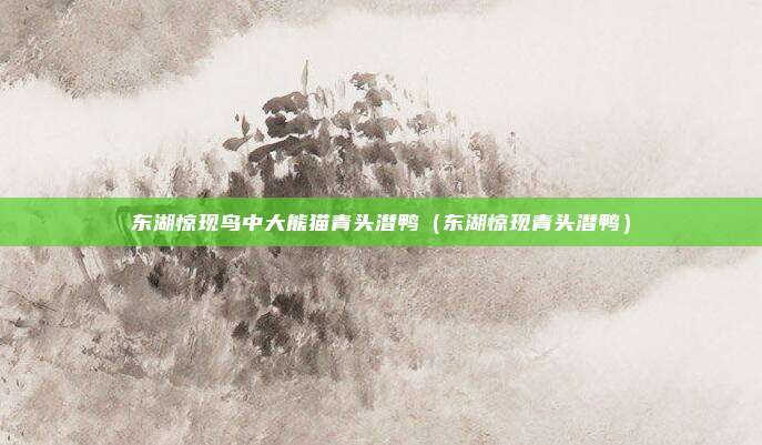 东湖惊现鸟中大熊猫青头潜鸭（东湖惊现青头潜鸭）