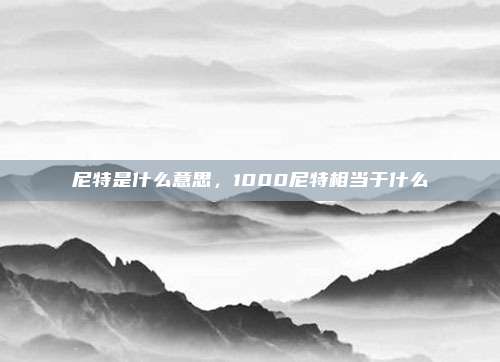 尼特是什么意思，1000尼特相当于什么
