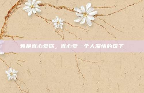 我是真心爱你，真心爱一个人深情的句子