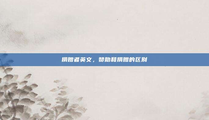 捐赠者英文，赞助和捐赠的区别
