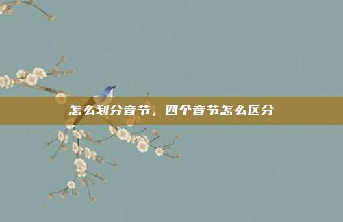 怎么划分音节，四个音节怎么区分