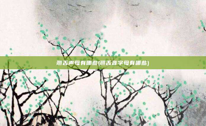 翘舌声母有哪些(翘舌音字母有哪些)