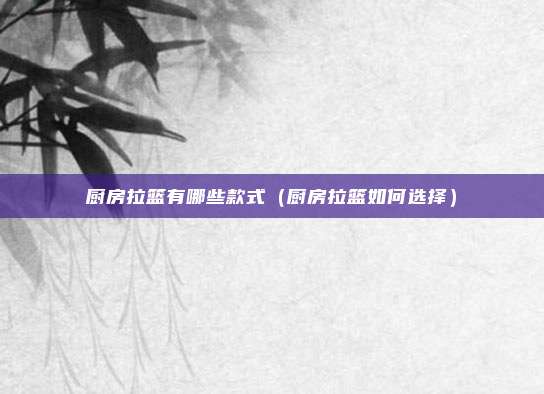 厨房拉篮有哪些款式（厨房拉篮如何选择）