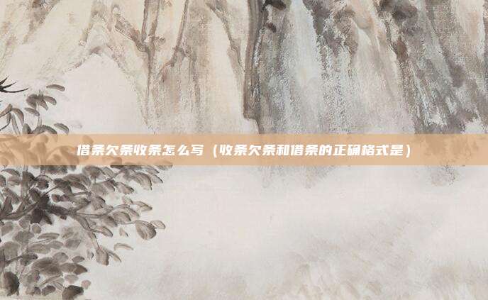 借条欠条收条怎么写(收条欠条和借条的正确格式是)
