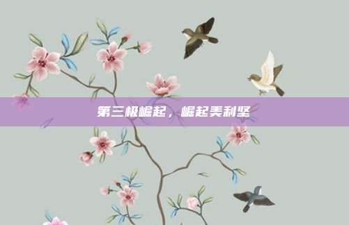 第三极崛起,崛起美利坚