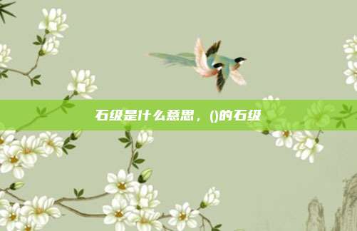 石级是什么意思，()的石级