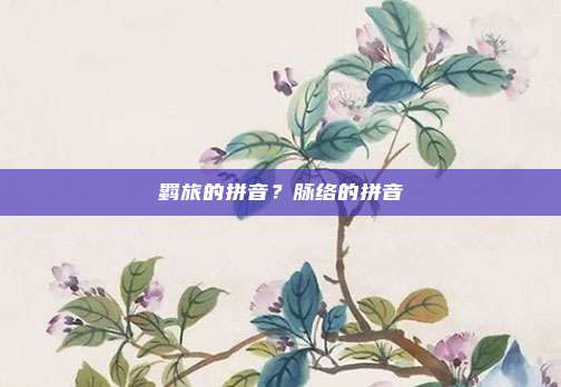 羁旅的拼音？脉络的拼音
