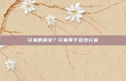 分米的英文？分米等于多少分米