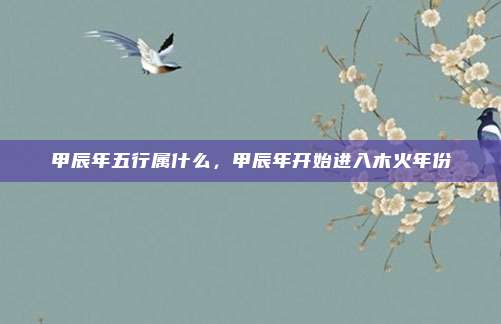 甲辰年五行属什么，甲辰年开始进入木火年份