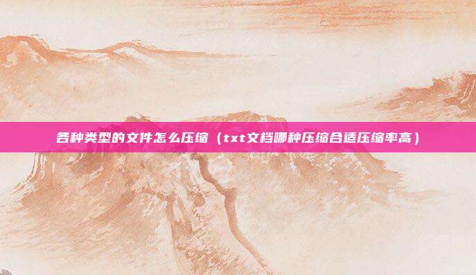 各种类型的文件怎么压缩(txt文档哪种压缩合适压缩率高)