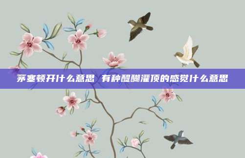 茅塞顿开什么意思 有种醍醐灌顶的感觉什么意思