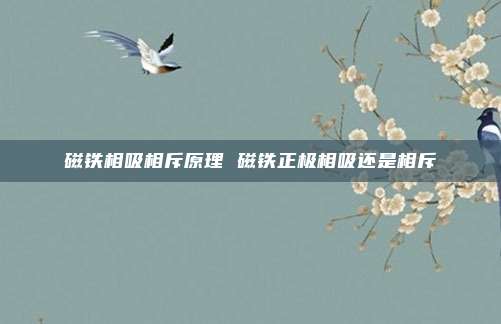 磁铁相吸相斥原理 磁铁正极相吸还是相斥