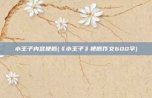 小王子内容梗概(《小王子》梗概作文600字)