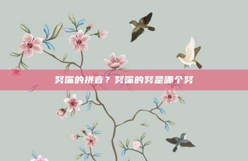 努嘴的拼音？努嘴的努是哪个努