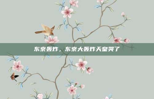 东京轰炸，东京大轰炸天皇哭了