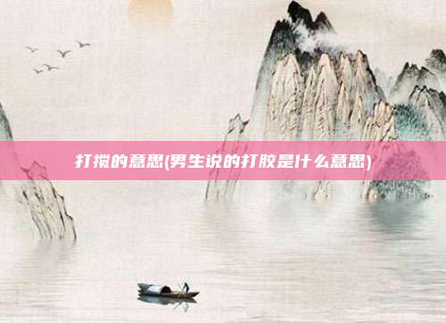 打搅的意思(男生说的打胶是什么意思)