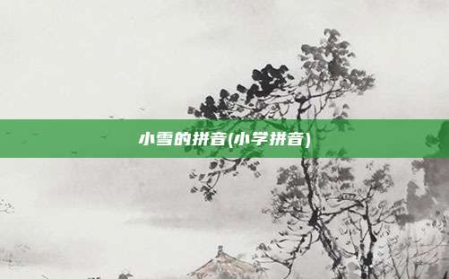 小雪的拼音(小学拼音)