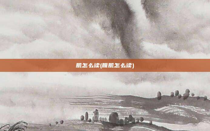 肌怎么读(腹肌怎么读)