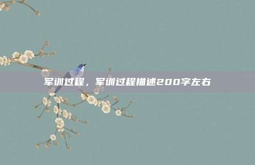 军训过程，军训过程描述200字左右