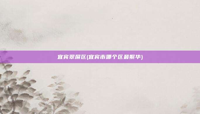 宜宾翠屏区(宜宾市哪个区最繁华)
