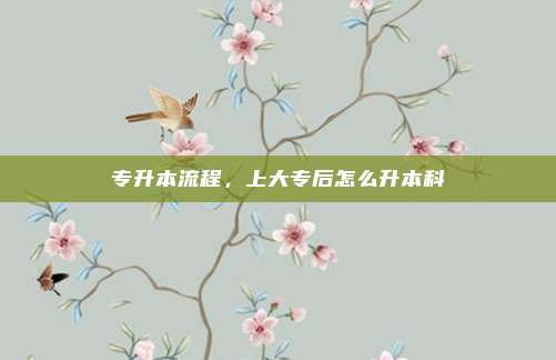 专升本流程，上大专后怎么升本科