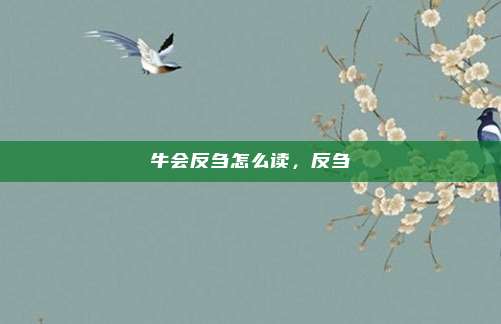 牛会反刍怎么读，反刍