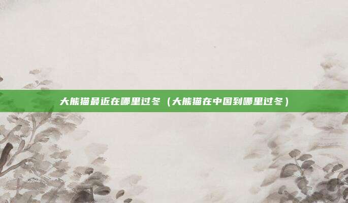 大熊猫最近在哪里过冬（大熊猫在中国到哪里过冬）