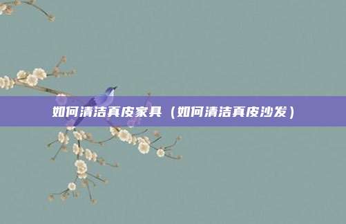 如何清洁真皮家具（如何清洁真皮沙发）