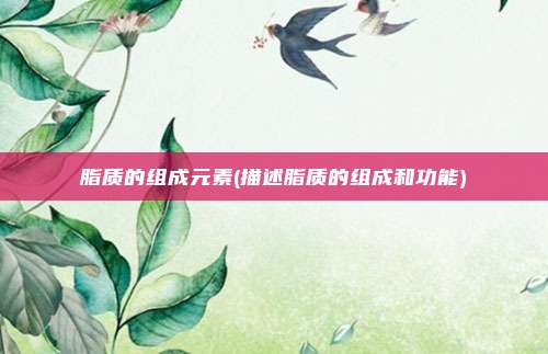 脂质的组成元素(描述脂质的组成和功能)