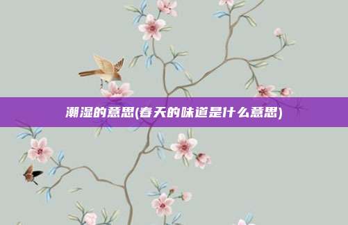 潮湿的意思(春天的味道是什么意思)