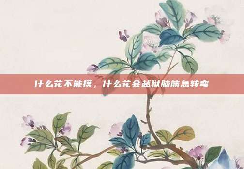 什么花不能摸，什么花会越狱脑筋急转弯
