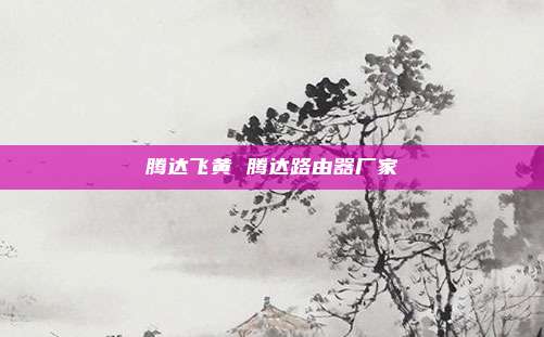 腾达飞黄 腾达路由器厂家