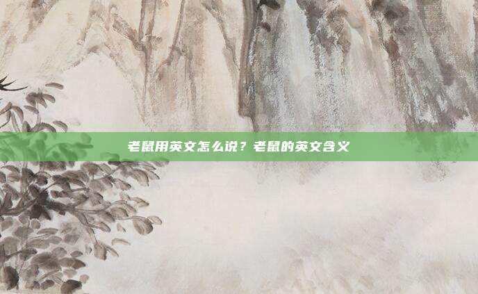 老鼠用英文怎么说？老鼠的英文含义