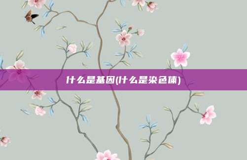 什么是基因(什么是染色体)