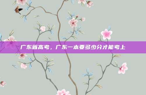 广东省高考，广东一本要多少分才能考上