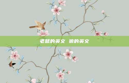 老鼠的英文 狼的英文