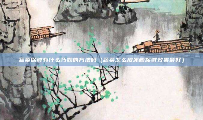 蔬菜保鲜有什么巧妙的方法吗(蔬菜怎么放冰箱保鲜效果最好)