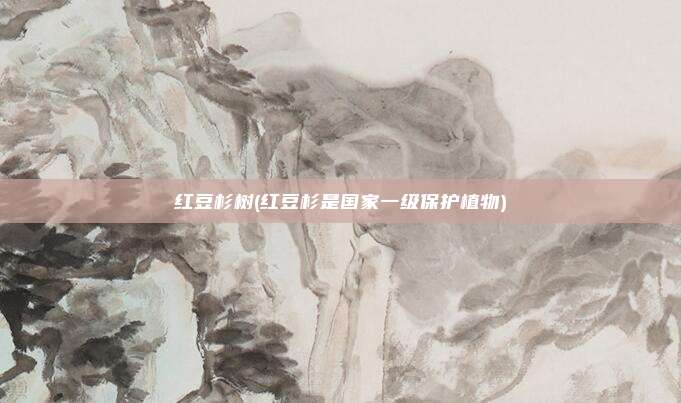 红豆杉树(红豆杉是国家一级保护植物)