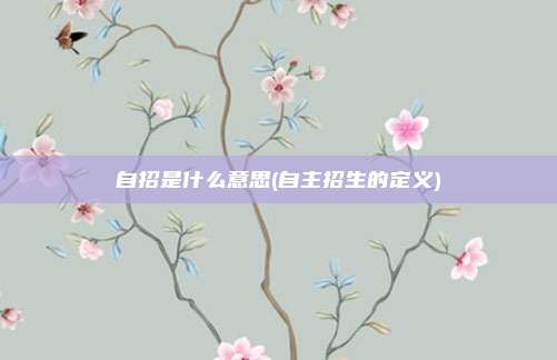自招是什么意思(自主招生的定义)