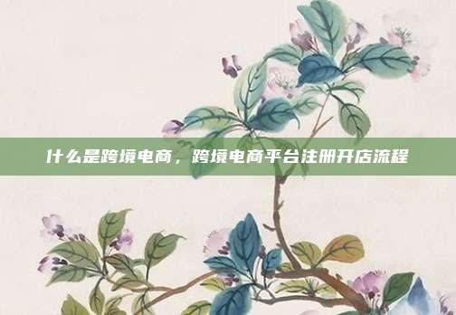 什么是跨境电商，跨境电商平台注册开店流程