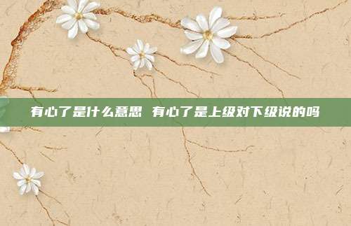 有心了是什么意思 有心了是上级对下级说的吗