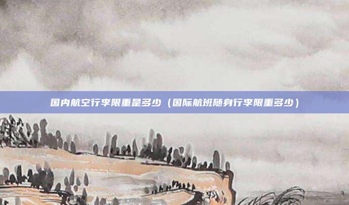 国内航空行李限重是多少(国际航班随身行李限重多少)