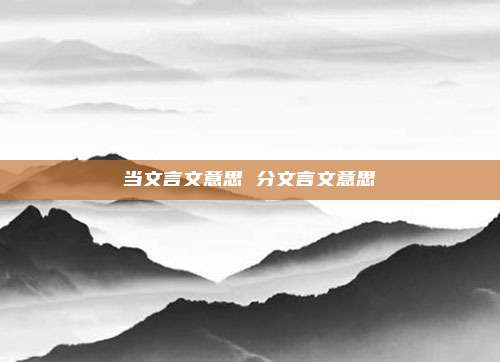 当文言文意思 分文言文意思