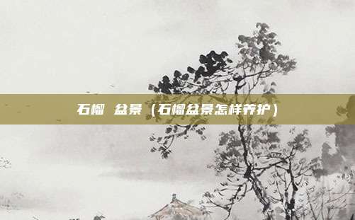 石榴 盆景(石榴盆景怎样养护)
