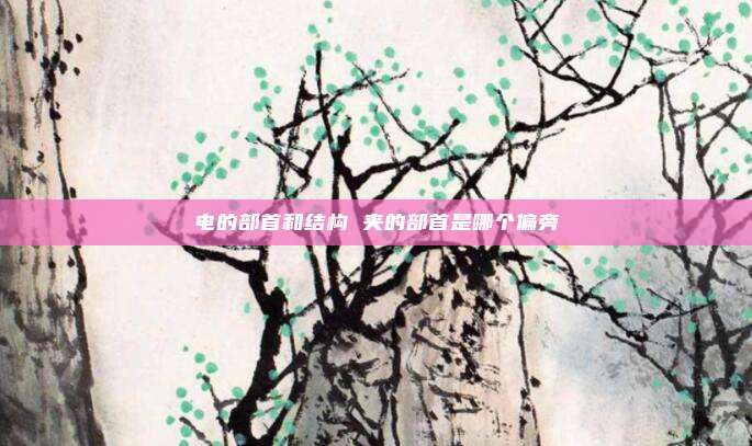 电的部首和结构 夹的部首是哪个偏旁