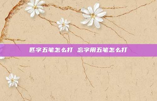 匹字五笔怎么打 忘字用五笔怎么打