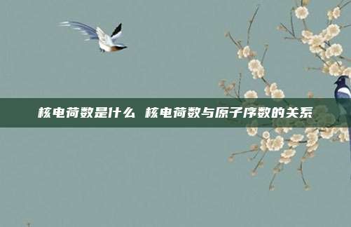 核电荷数是什么 核电荷数与原子序数的关系