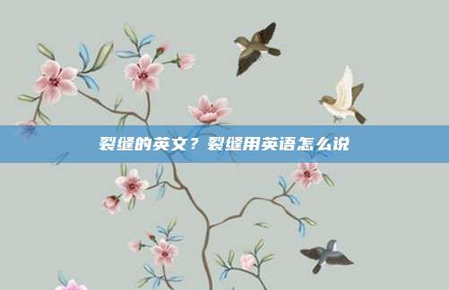 裂缝的英文？裂缝用英语怎么说