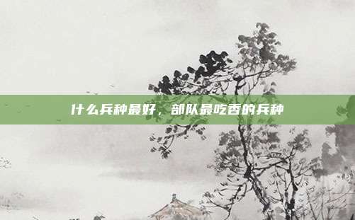 什么兵种最好，部队最吃香的兵种